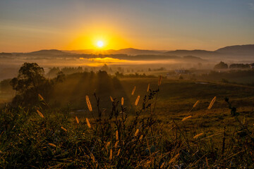 Sunrise over misty hills with mountains in the background i z trawami na piewrszym planie