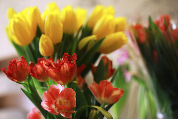 Tulip flowers close-up in a vase. Mothers Day.