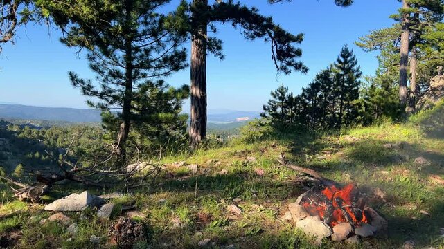 Bonfire in the Taurus Mountains in Turkey. Tongues of flame. Tazi Canyon. Relaxing by the campfire in the forest overlooking the green valley. Camping under tall pines.4K