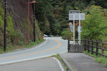 山梨県精進湖の曲がりくねった道と森