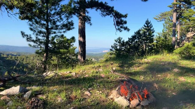 Bonfire in the Taurus Mountains in Turkey. Tongues of flame. Tazi Canyon. Relaxing by the campfire in the forest overlooking the green valley. Camping under tall pines.4K