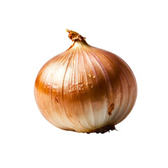 various spices on a transparent background