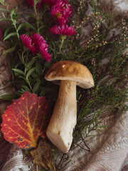 Fototapeta premium Autumnal Flat Lay with Porcini Mushroom, Heather, Pink Aster, and Red Leaf on Patterned Fabric