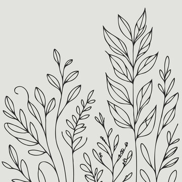 Adobe Illustrator Artwork
outline black and white line art, lineart, doodle flower. set of contour floral of cosmos, Chamomile, daisies, grasses, stems, herbs, leaves decorative elements