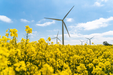 Wind park in the landscape of rapeseed fields. Bio fuel and green energy concept.