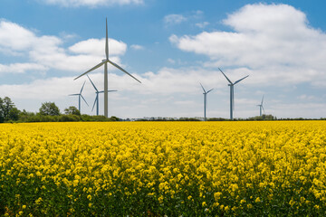 Wind park in the landscape of rapeseed fields. Bio fuel and green energy concept.