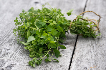 Close up of herbs