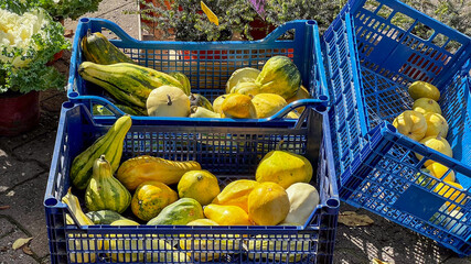 Blue crates filled with colorful gourds and squashes on display at a farmers' market, evoking a...