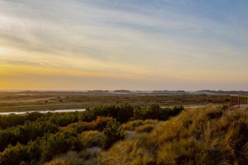 Landscape view of dunes in evening with golden sunlight during the sunset, Marshland and sand dike...