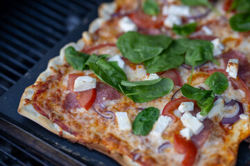 pizza with salami and cheese