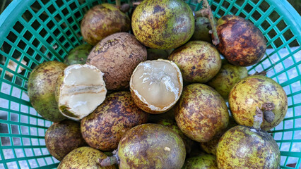 Selective focus on matoa fruit or Pometia pinnata. Matoa fruit is often found in Southeast Asia.