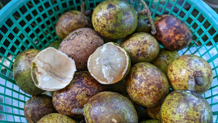 Selective focus on matoa fruit or Pometia pinnata. Matoa fruit is often found in Southeast Asia.