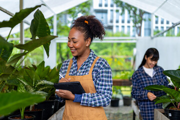 African American gardener using digital tablet while working in her nursery garden center for...
