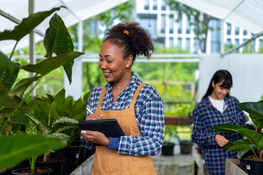 African American gardener using digital tablet while working in her nursery garden center for native and exotic plant grower