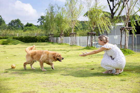 Caucasian woman playing fetch with her energetic golden retriever dog in the outdoor park during summer for animal lover and pet sitter training