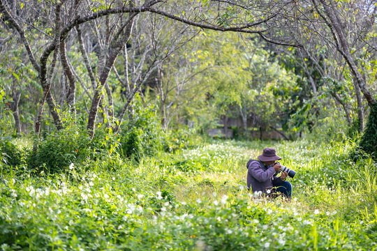 Photographer is taking photo while exploring woodland forest with wild flower meadow for surveying and locating rare biological diversity and ecologist on field study