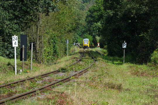 Mit Gras &uuml;berwachsenes Gleis auf eingleisiger Bahnstrecke mit Triebwagen von Privatbahn - Stockfoto