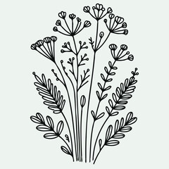 Adobe Illustrator Artwork
outline black and white line art, lineart, doodle flower. set of contour floral of cosmos, Chamomile, daisies, grasses, stems, herbs, leaves decorative elements