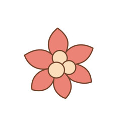 Traditional Christmas flower, Red poinsettia vector illustration