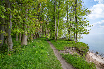Wanderweg an der Steilküste der Ostsee, Eckernförder Bucht, Schleswig-Holstein, Deutschalnd
