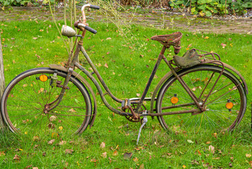 Fototapeta premium Altes, rostiges Fahrrad auf einem Rasen