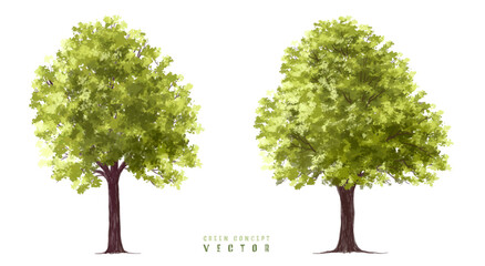  Vector watercolor green  tree or forest side view isolated on white background for landscape and architecture drawing,elements for environment or and garden,Shrub for section