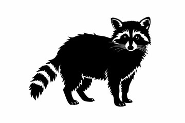 Curious Raccoon Silhouette Design