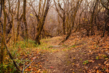 Blackstrap provincial park in autumn