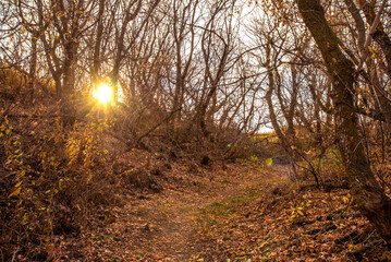 Blackstrap provincial park in autumn