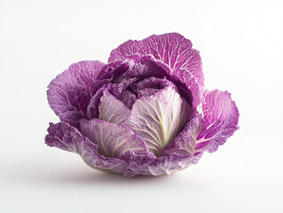 Obraz premium A purple cabbage, fresh and vibrant
