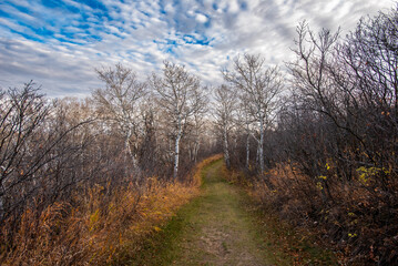 Obraz premium Blackstrap provincial park in autumn