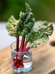 glass of water and rhubarb on the table