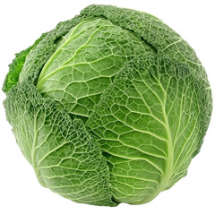 Fototapeta premium Fresh green cabbage, with intricate leaf patterns, isolated on a white background.