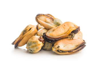 Shelled mussels meat isolated on white background.
