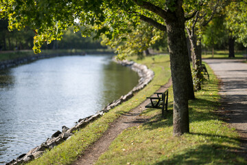 bridge over the river
