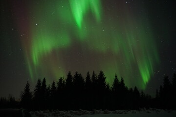 Northern lights in the Lofoten Islands (Norway)