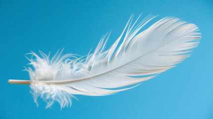 Obraz premium A close shot of a feather floating slowly through the air, symbolizing the lightness and ease of peace.