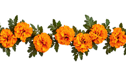 Obraz premium Orange marigold flower