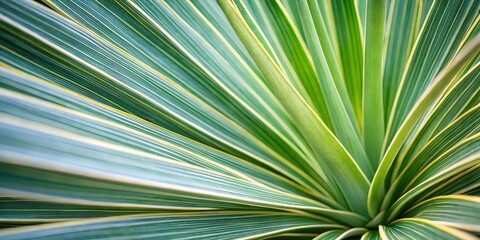 Obraz premium Close-up of a vibrant green leaf with yellow stripes, showcasing the intricate patterns of nature and the beauty of botanical textures