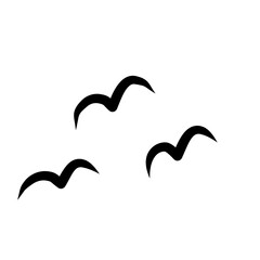 Flaying  Migratory Birds