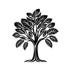 Obraz premium Full Canopy Tree 