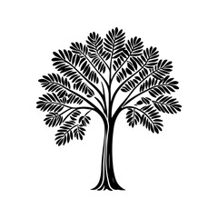 Obraz premium Tall Trunk Tree