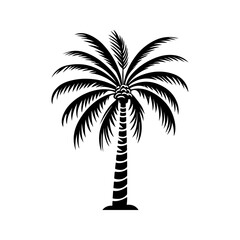 Tropical Palm Tree