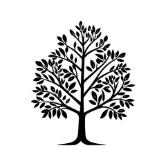 Obraz premium Dense Canopy Tree