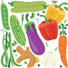 vector graphic various kinds of vegetable pack