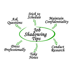 Fototapeta premium Six Job Shadowing Tips
