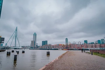 The Erasmus Bridge, also known as "The Swan" is an attraction for tourists and locals