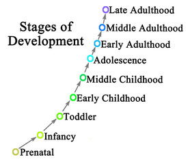 Nine Stages of Development