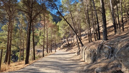 Caminito del Rey, Spain, Canyon