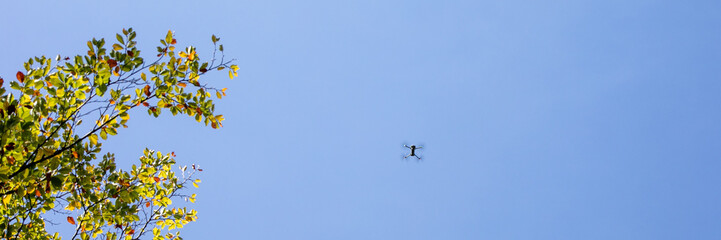 A drone hovers in a clear blue sky next to autumn leaves, symbolizing modern technology and seasonal change